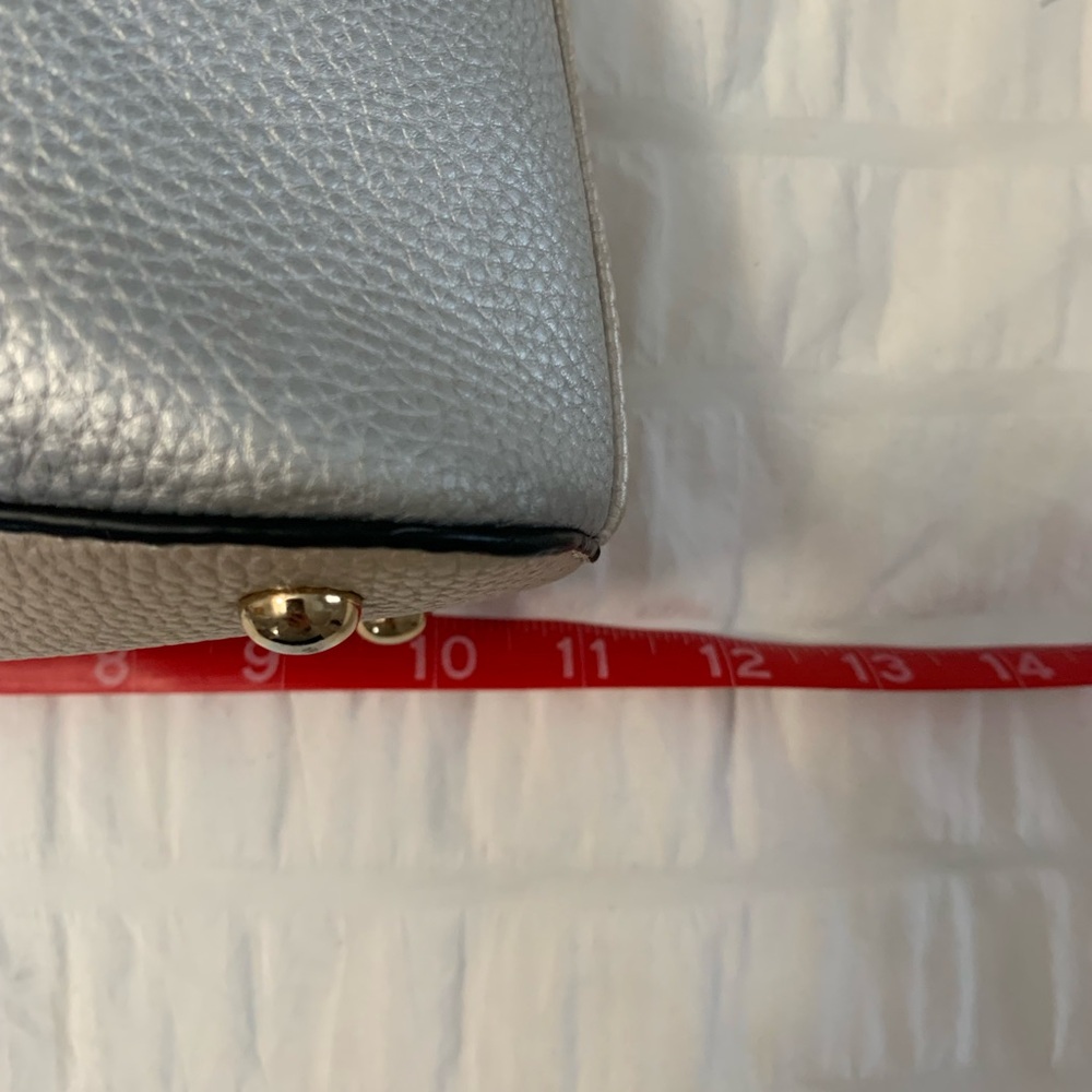 Champagne And Silver Cross Body - Picture 6 of 16